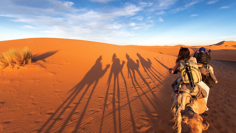 Morocco-camel-sunset-shadow